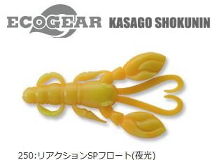   å 2 #250 ꥢSPե  /   ޥ륭塼 ᡼ز Ź̲ʡ