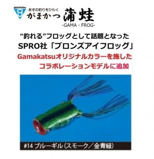 ޤ 饰 ޥݥå #14 ֥롼ʥ⡼)  / 륢  ()  Ź̲ʡ