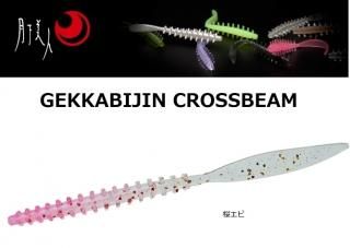   ӡ 2.5 # /  륢 / ᡼ز /  Ź̲ʡ