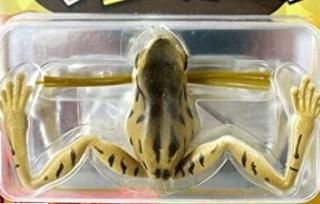  ӥ ޥ #2 ֥饦ȥΥ / եå 륢  (᡼ز)  Ź̲ʡ