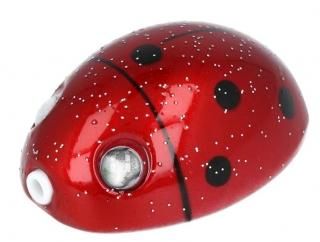  Ȳ ٥Сե꡼ (ե) ǥХإå 100g #Ǯ /   (᡼ز)  Ź̲ʡ