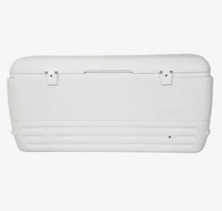 롼 ݡ 150QT 142L 顼ܥå ( IGLOO POLAR) (̵) Ź̲ʡ