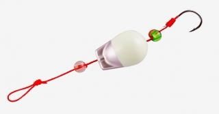 å åå 5 /С / ųݤ  (᡼ز)  Ź̲ʡ