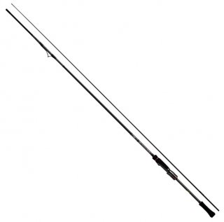  21  ȥ RT IL (󥿡饤ǥ) 81M / 󥰥å   Ź̲ʡ