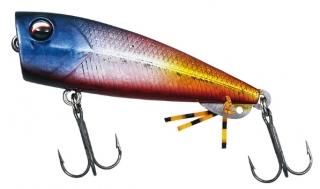 ������ ����С������ ���˥󥰥Х� 55F ���ޥ��� / �륢�� ������ (�᡼���ز�)  ����Ź���̲��ʡ�