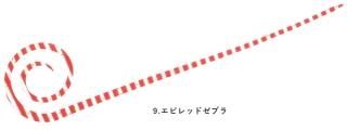ϥ֥ ե꡼饤 ॷꥳͥ ѥ륫꡼ SE164 #ӥåɥ֥ / ᡼ز /  Ź̲ʡ