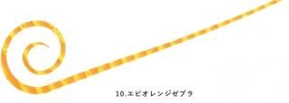 ϥ֥ ե꡼饤 ॷꥳͥ ѥ륫꡼ SE164 #ӥ󥸥֥ / ᡼ز /  Ź̲ʡ