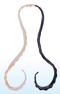 ޤ 饰  3Dեȥͥ #26 饪/֥å /   (᡼ز) Ź̲ʡ