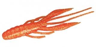 å С С 2.8 (6) 󥸥ɥե졼 /  륢 (᡼ز)  Ź̲ʡ