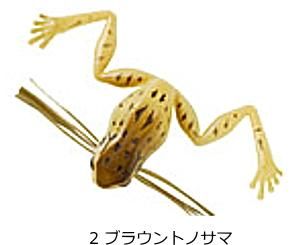  ӥ  30mm #2 ֥饦ȥΥ / եå 륢 (᡼ز)  Ź̲ʡ