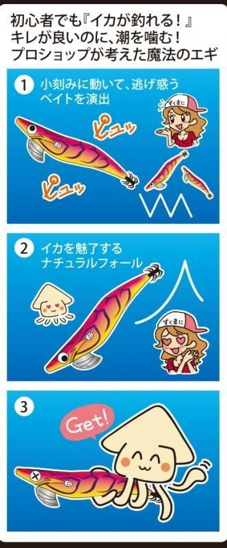 スクイッドマニア ワイルドチェイス 3.5号 餌木 エギ 10点セット 楽天市場】スクイッドマニア ワイルドチェイス 3.5号 その2