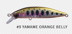 ٥ӡե (babyface) M60SR-S #9 YAMAME ORANGE BELLY / ȥ饦 륢 (᡼ز)  Ź̲ʡ