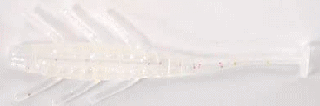 Х졼ҥ ӥå 3 #22 ҥ /  륢 / ᡼ز /  Ź̲ʡ