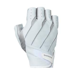 ޥ ؤ ܳ (Τ) GL-016V 졼 M (᡼ز) /  / shimano Ź̲ʡ