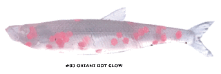 ȥ른å ǥꥺ  (MODELISM ZAKO) 1.4 #03 OKIAMI DOT GLOW /  륢 (᡼ز)  Ź̲ʡ