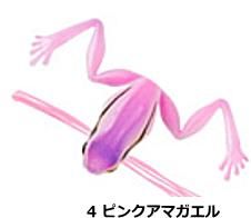  ӥ  30mm #4 ԥ󥯥ޥ / եå 륢 / ᡼ز /  Ź̲ʡ
