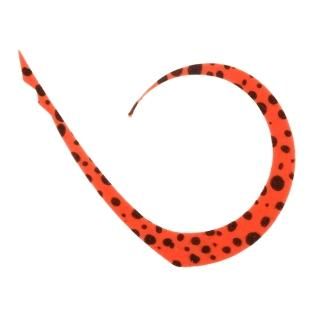 å ӥӥ󥹥åT+ͥ ޥ꡼ ֥饤ȥ󥸥ɥå /   (᡼ȯ)  Ź̲ʡ