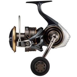  ǥ SW 10000-P / ꡼ / daiwa Ĥ ̵ Ź̲ʡ