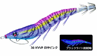 ǥ奨 EZ-Q 㥹 碌 3.0 #30 KVVP ԥ /     Ź̲ʡ
