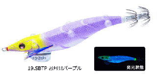 ǥ奨 衼ť Q   3.5 #19 SBTP ѡץ /    Ź̲ʡ
