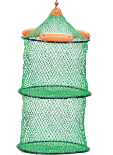 ץޥ ۡ 36cm3 ⤵43cm AKA018-363 /  Ź̲ʡ