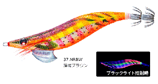 ǥ奨 衼 ꡼Q 3.5 #37 NRBW ֥饦 /    ᡼ز Ź̲ʡ