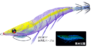 ǥ奨 衼 EZ-Q 塼 㥹 ץ饹 3.0 #28 SBTP ѡץ /    ᡼ز Ź̲ʡ