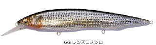 ᥬХ ʥ KANATA +1 SW #GG 󥺥Υ / 륢  ᡼ز Ź̲ʡ