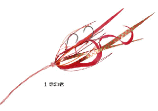 ϥ֥ ե꡼饤 ͥեåå  ĥ󥫡&ȥ졼 #1 ֳϷ SE185 /   ᡼ز Ź̲ʡ