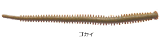 С쥤  ȥ   4 # /  륢 Ĥ ᡼ز Ź̲ʡ