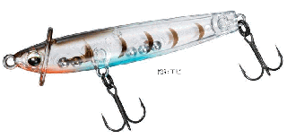    55F #񥨥 / 饤ȥȥ 륢  ᡼ز Ź̲ʡ