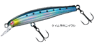   դ 55S #ۥ亮 / 饤ȥȥ 륢  ᡼ز Ź̲ʡ