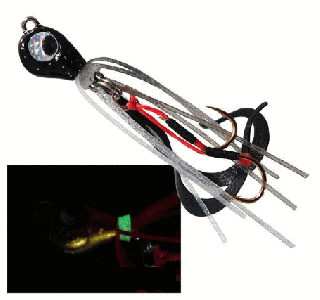 롼ǥ ҥ 10g # /    Ĥ ᡼ز Ź̲ʡ