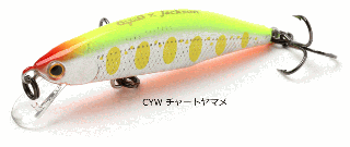 㥯 ƥ Meteora 52 #CYW 㡼ȥޥ / ȥ饦 륢  ᡼ز Ź̲ʡ