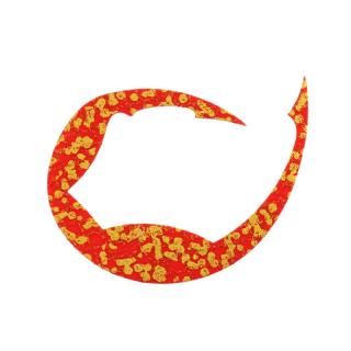  Ȳ ꥳͥ ѥǥ M #ɥåå /  ᡼ز Ź̲ʡ