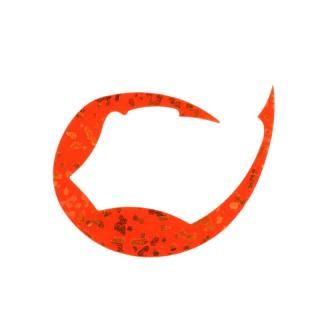  Ȳ ꥳͥ ѥǥ M # /  ᡼ز Ź̲ʡ