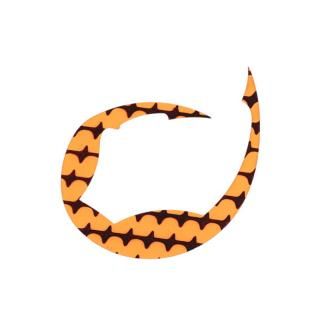  Ȳ ꥳͥ ѥǥ M # /  ᡼ز Ź̲ʡ