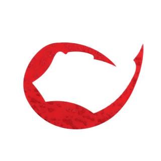  Ȳ ꥳͥ ѥǥ L #å /  ᡼ز Ź̲ʡ