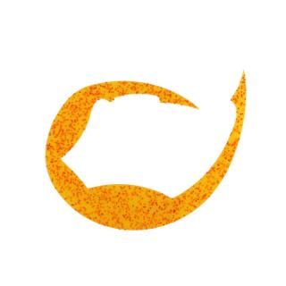  Ȳ ꥳͥ ѥǥ L #̪ /  ᡼ز Ź̲ʡ