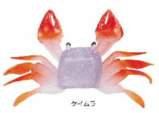  ųݤ ʥ ˥٥ M  / ƥ  ᡼ز Ź̲ʡ