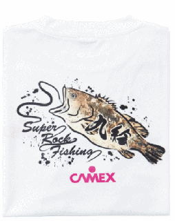  CAMEX THE 峨 T ۥ磻 XL /   Ź̲ʡ