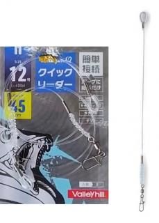 Х졼ҥ ɥ饴Q å꡼ եܥ 12 30cm /  饤  ᡼ز