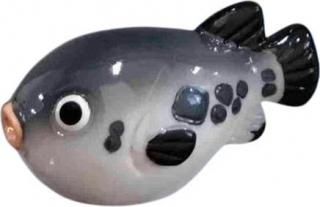 ʥޥͥå #ե / ¢ ۥ磻ȥܡ    եå ꡼  ᡼ز Ź̲ʡ