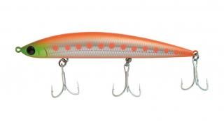 㥯 ꡼ 12SSP #CTI åȥ亮 / 륢  ᡼ز Ź̲ʡ