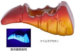  ƥSS AH60 ܥץ饹󥫡 20 ֶ /  ųݤ  ᡼ز Ź̲ʡ