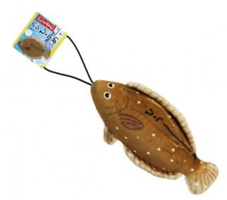 ΤӤ ȥå ΤӤҤ #ҥ /    եå ꡼  ᡼ز