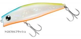  ⥢ ꥢȥ 120F ȥԥեå / Х 륢 ᡼ز