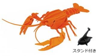 ѥߡ PazuMe 3DΩΥڡѡѥ U2164 ꥫꥬ /  ƥꥢ ֥  ᡼ز