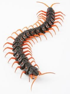 ѥߡ PazuMe 3DΩΥڡѡѥ U0013 ٥ȥʥ४५  /  ƥꥢ ֥  ᡼ز