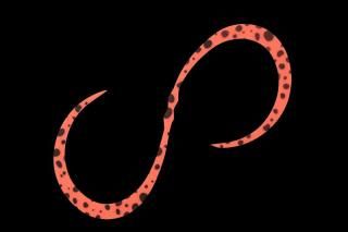 å ӥӥ̥ͥ ꡼ F-0326 ֥饤ȥ󥸥ɥå /   Ĥ ᡼ز